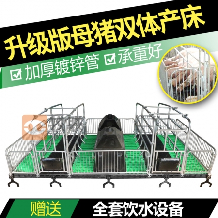 华宇设备 升级版母猪产床  