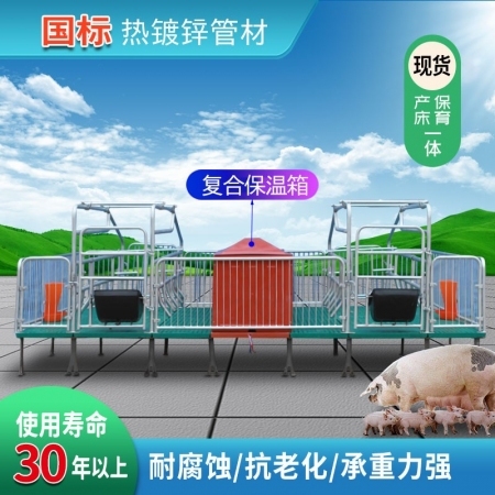 母猪产床 保育两用复合板母猪限位栏保育床产床母猪设备床养殖设备