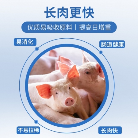 【普爱199】20%育肥猪浓缩饲料 80斤/袋 大猪育肥料中猪饲料预混料混合料