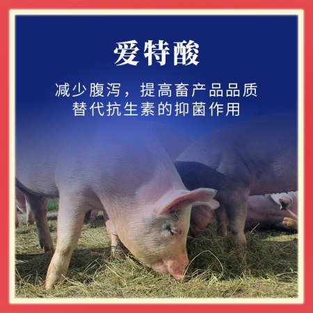 【吉隆达】爱特酸10斤/桶 85%有机酸化剂 猪鸡兽用消毒 清理水线  改善肠道 减少腹泻