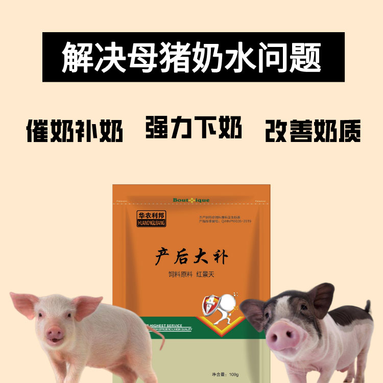 母猪的产后护理封面图片